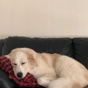 Meet your Posher, Melanie